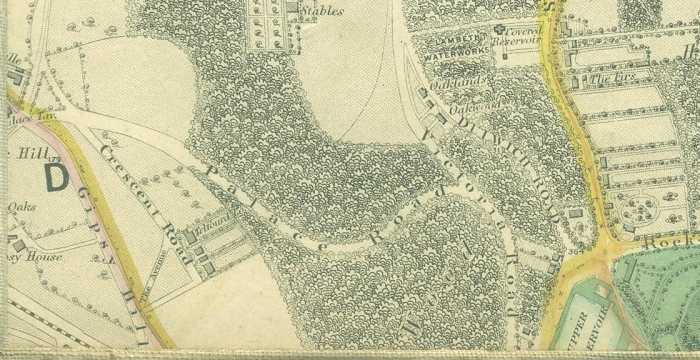 Gipsy Hill in the early 19th Century with Long Meadow to the right (http://tinyurl.com/6pvkkk)) 